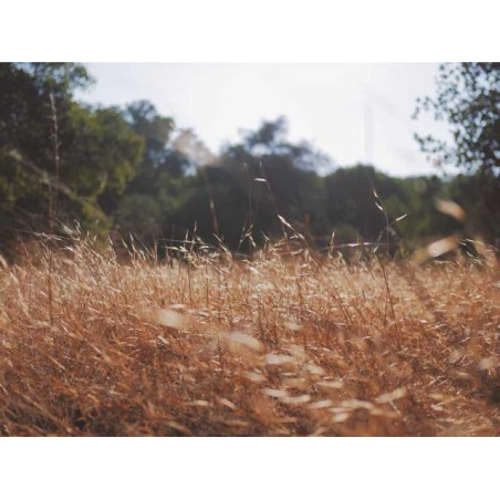 Ergonomic Aluminum Chair fr-FR